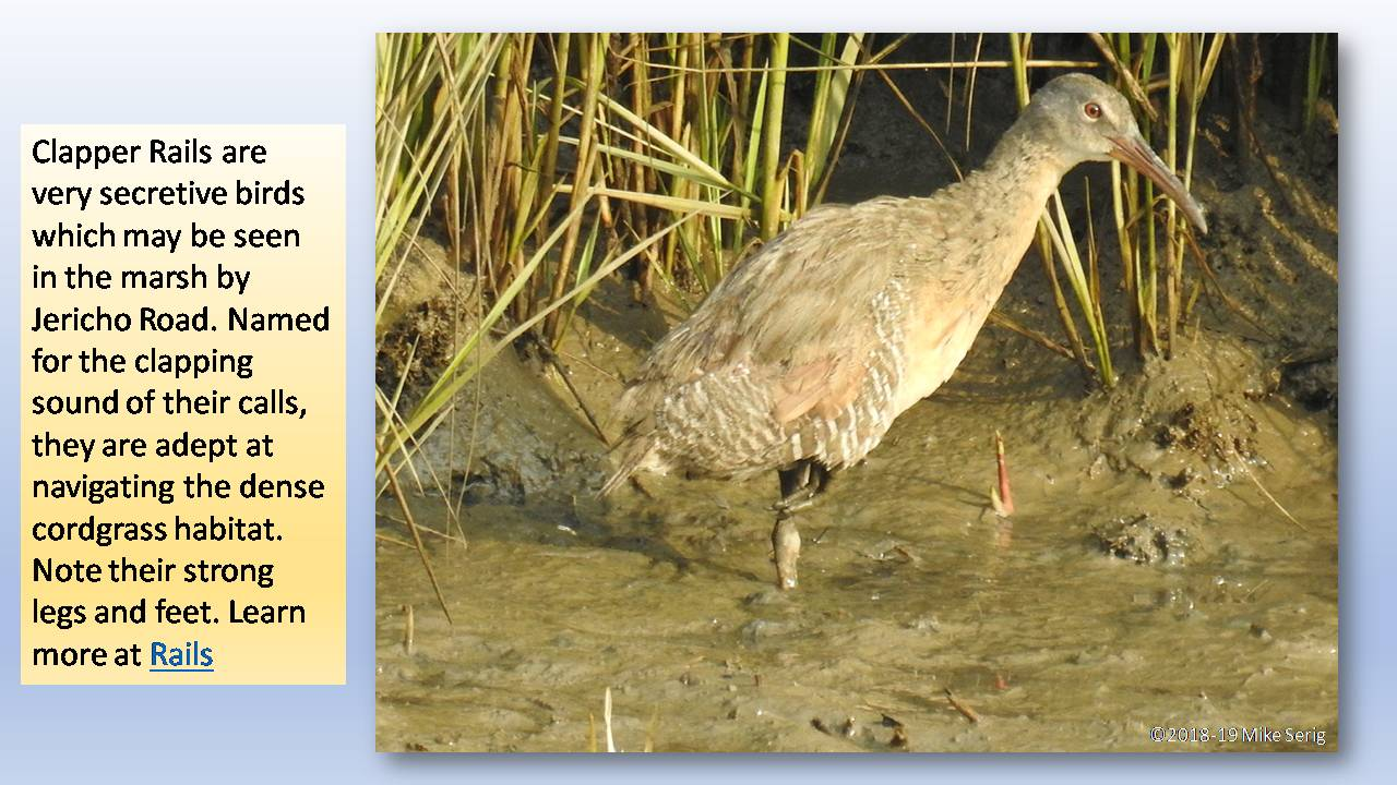 Clapper Rails