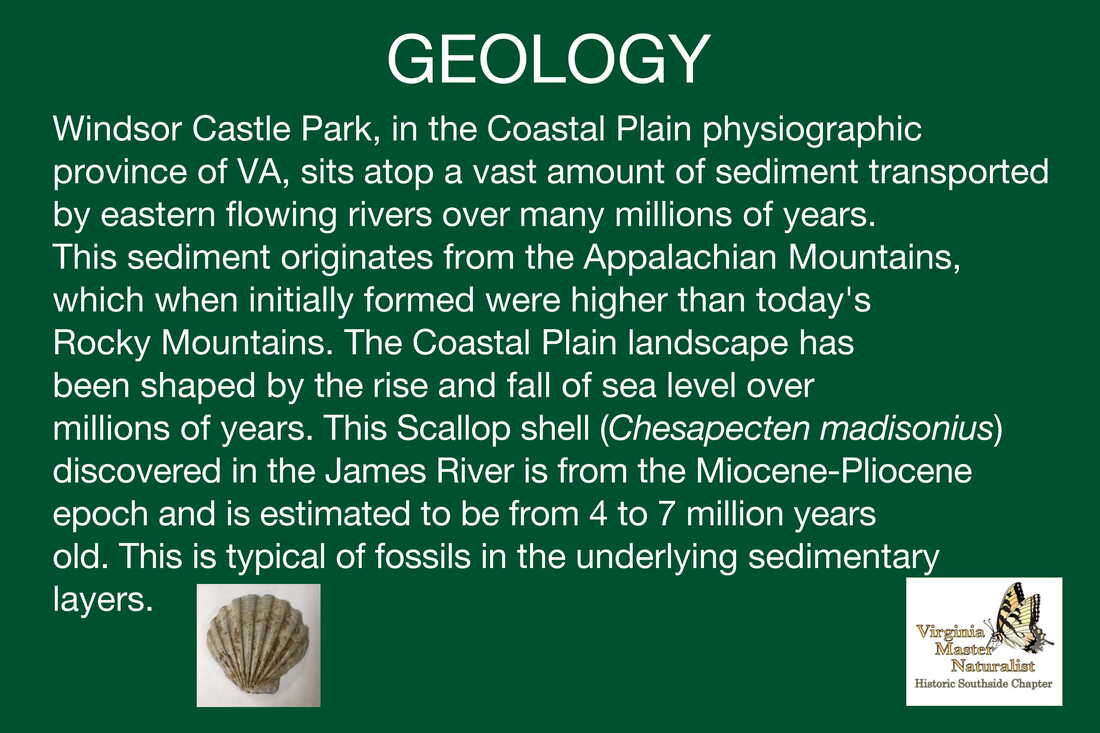 Geology Sign