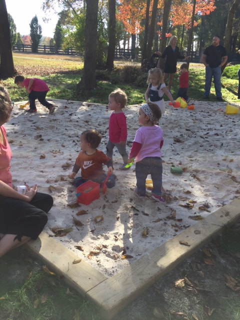 Natural Playscape 29