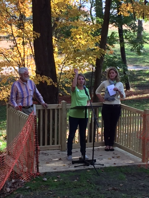 Natural Playscape 17