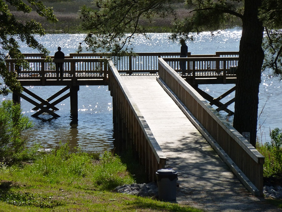 Person on Fishing Pier